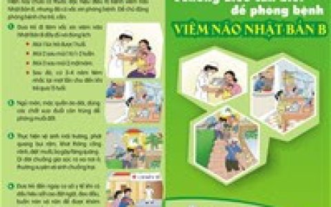 PHÒNG CHỐNG BỆNH VIÊM NÃO NHẬT BẢN B